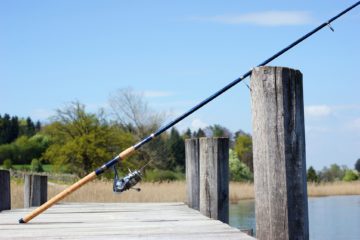 fishing rod 1