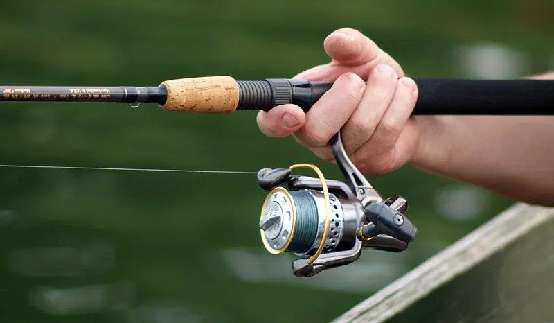 Best Ultralight Spinning Reel