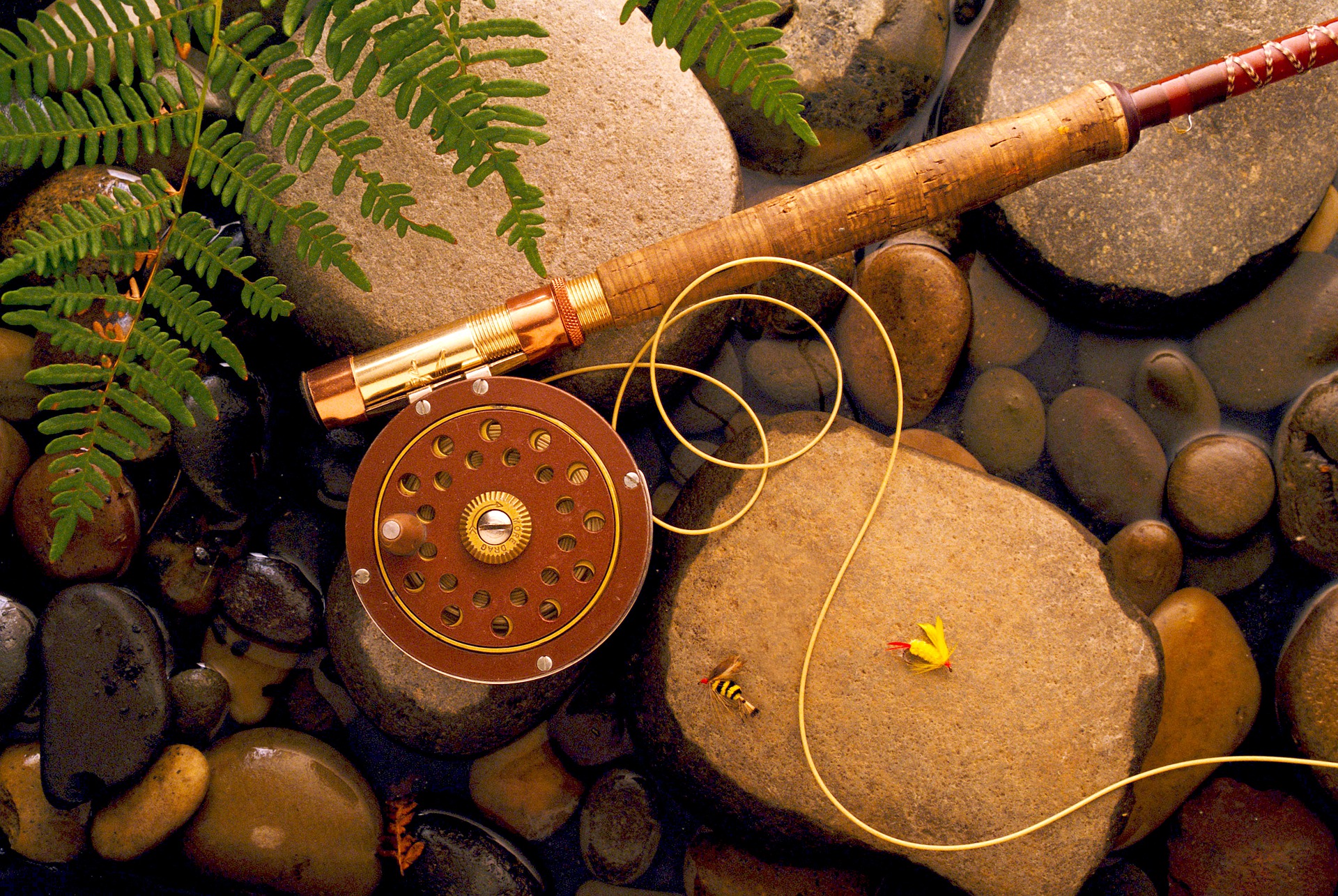 How To Clean Cork Handles On Fishing Rods Best Way