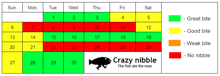 Fishing calendar for November 2022 - Crazy Nibble